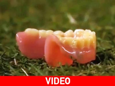 Πέταξε τη μασέλα του στον διαιτητή !