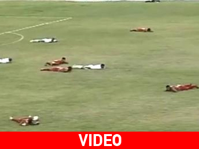 Μέλισσες… χούλιγκαν διέκοψαν αγώνα στη Βραζιλία