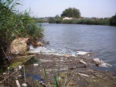 Ρύπανση από λύματα στο Μεγανήσι