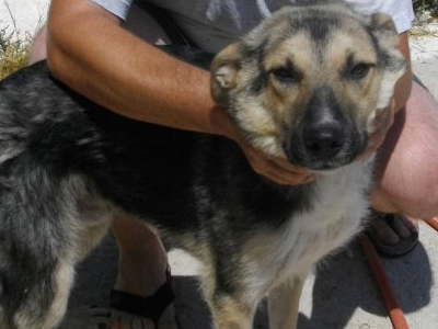 Χαρίζεται ο κούταβος Ριντ