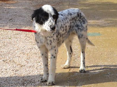 Μια αγκαλιά για τη Ρωξάνη