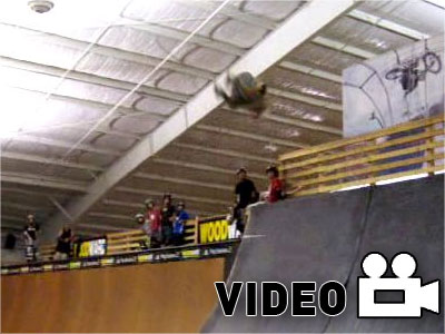 Η εξέλιξη του είδους