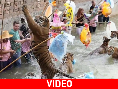 «Παίζουν κορώνα – γράμματα» τη ζωή τους!