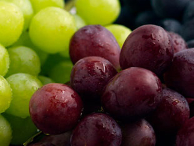 «Όχι» της ΕΕ στην εισαγωγή σταφυλιών από την Ινδία