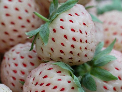 Άλλο φρούτο…