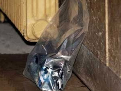 Γκαζάκια στο Α. Τ. Γέρακα