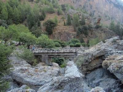 Αυξάνονται τα κρούσματα λαθροθηρίας στη Σαμαριά