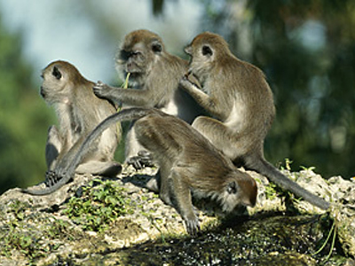 Πήγε για ομαδικό σεξ και τον σκότωσαν