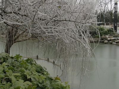 Φοβούνται μεγαλύτερη καταστροφή