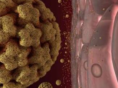 SEXUALITY: Ο HPV μεταδίδεται μόνο με το σεξ;