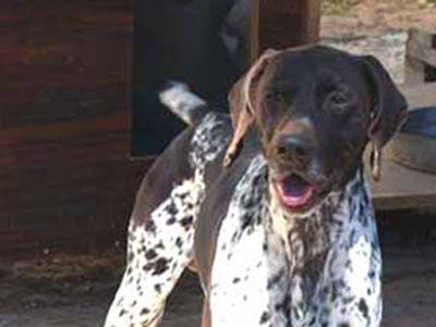 Χάθηκε ο Χάρης