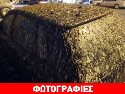 Η εκδίκηση των πτηνών