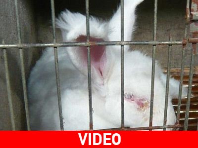 Η H&M παύει τα προϊόντα από ανκορά εξαιτίας ενός video