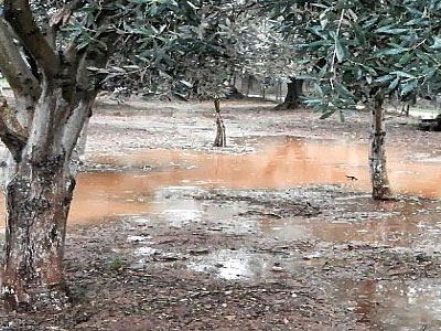 Μεσολόγγι: Ζημιές στις καλλιέργειες απο την κακοκαιρία