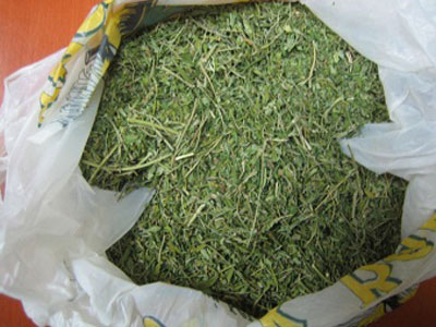 Συλλήψεις για κατοχή ναρκωτικών στην Ξάνθη