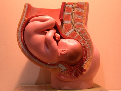 Γονιμότητα: Νέα δεδομένα στην εξωσωματική γονιμοποίηση