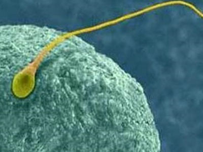 SEXUALITY: Ανδρική υπογονιμότητα