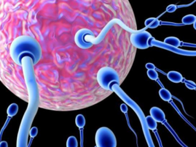 SEXUALITY: Ποιος είναι ο πατέρας;