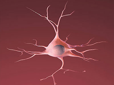 Γιατί οι άνδρες θέλουν σεξ και οι γυναίκες σχέση