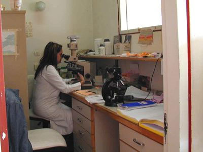 Γονιμότητα: Εξέταση για στίγμα μεσογειακής αναιμίας πριν μείνετε έγκυος