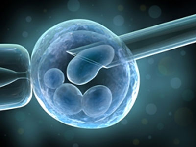 Γονιμότητα: Γιατί η εξωσωματική γονιμοποίηση δεν είναι πανάκεια!