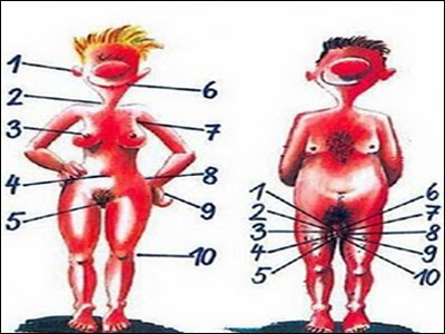 SEXUALITY: Ερωτικές ζώνες στον άνθρωπο