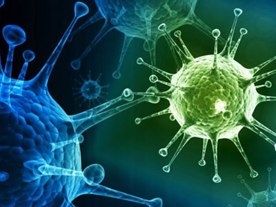 Νέα στοιχεία για την προέλευση του ιού του έρπητα