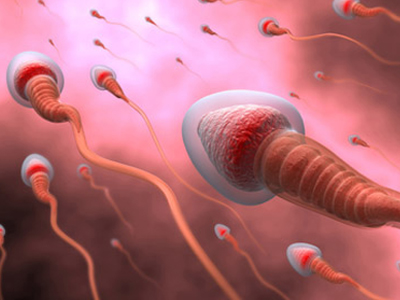Γονιμότητα: Εναλλακτικές θεραπείες κατά τη σπερματέγχυση