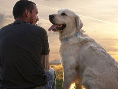 Πώς ο καλύτερος φίλος του ανθρώπου μπορεί να ανιχνεύσει τον καρκίνο του προστάτη