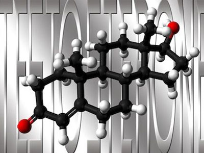 Τεστοστερόνη και γονεϊκή συμπεριφορά