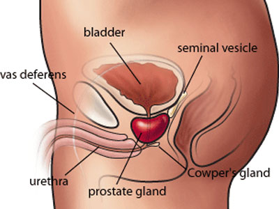 Βιοψία και sex