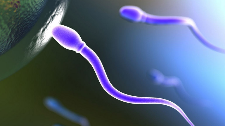 Επιτρέπεται πλέον η δωρεά σπέρματος στην Ιταλία