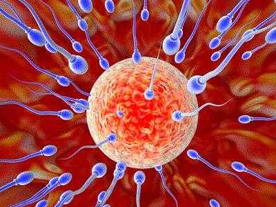 SEXUALITY: Τα σπερματοζωάρια μπορούν να κάνουν υπολογισμούς!