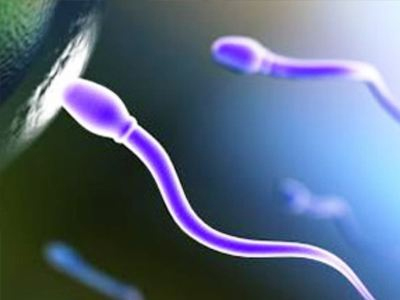 SEXUALITY: Το προφίλ του κατάλληλου δωρητή σπέρματος