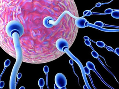 Γονιμότητα: Γιατί μειώθηκε η ποσότητα του σπέρματος;