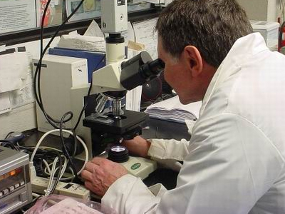 Γονιμότητα: Παραγωγή σπέρματος στο εργαστήριο!