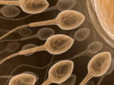 SEXUALITY: Πόση είναι η ποσότητα σπέρματος;