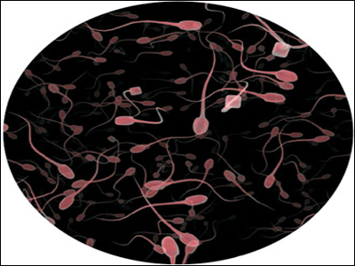 SEXUALITY: Έκανα καλλιέργεια σπέρματος και βρέθηκε σταφυλόκοκκος…