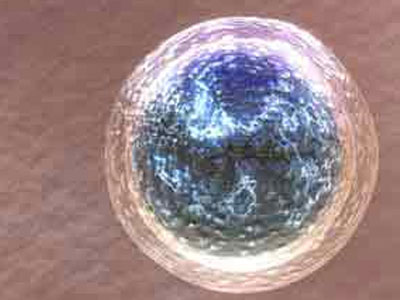 Γονιμότητα: Η σκληρή πραγματικότητα γύρω από τη δωρεά ωαρίων