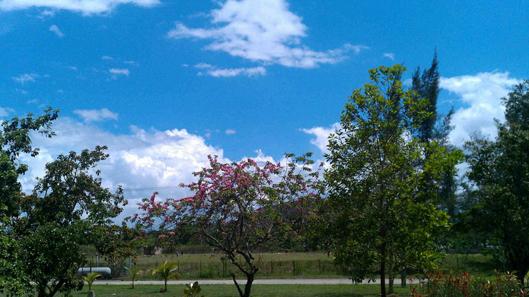 O καιρός σήμερα