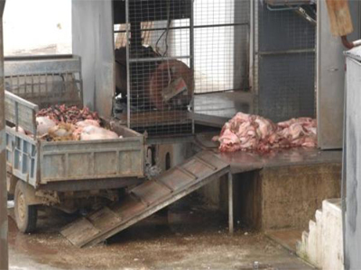 Αιφνιδιαστική επίσκεψη του Εισαγγελέα στα σφαγεία Αρκαλοχωρίου