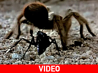 Μια μάχη με τον ίδιο πάντα νικητή…