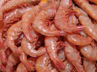 Κατασχέσεις ακατάλληλων προϊόντων