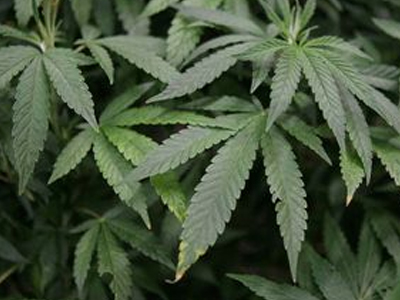 Αντί για ευρώ είχε στην τσέπη του ναρκωτικά