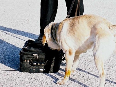 Βόμβα σε ξενοδοχείο