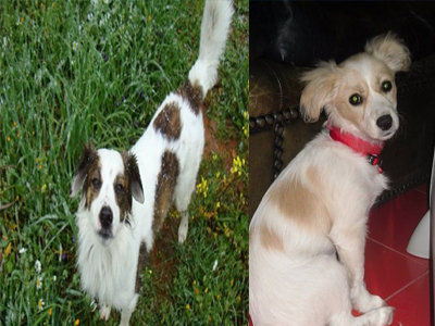 Χάθηκαν ο Βλάσσης και η Μάγια