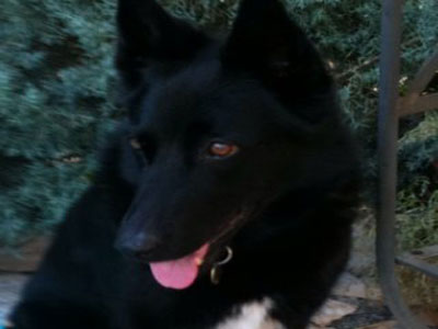 Χάσαμε τη Sienna!