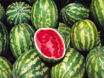 Ήταν κρυμμένοι ανάμεσα σε καρπούζια