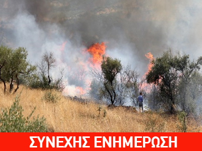 Μεγάλη πυρκαγιά στην Κερατέα