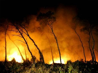 Υπό μερικό έλεγχο η φωτιά στο Μαρκόπουλο